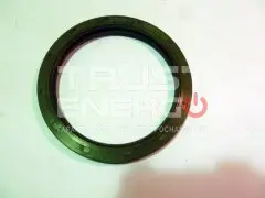 TSS Сальник (100x125x12) вала коленчатого задний TDY 25 4L /Rear oil seal ТРАСТ-ЭНЕРГО Сальник (100x125x12) вала коленчатого задний TDY 25 4L /Rear oil seal ТРАСТ-ЭНЕРГО